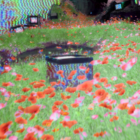 image://avantgarden/poppy01.png